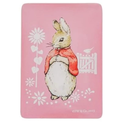 Magneto Peter Rabbit Flopsy Bunny